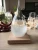 Amazon supplier High Quality Clear Liquid Barometer 20CMX9.4CM Storm Glass in Glass Crafts Weather Forecast Storm Glass