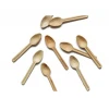 Areca Palm Leaf Spoons