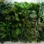 Import artificial plant panel green wall plane new design popular plants wall artificial hanging plants grass wall decor artificial from China
