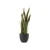 Import Artificial Plant with plastic pot for home decor decking from China
