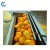 Import Automatic pumpkin washing machine potato peeling cleaning machines carrot washer from China