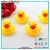Bath Toys Plastic Promotional Gifts Rubber Duck For Baby Playing
