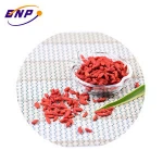 Berry goji dried fruit good for health