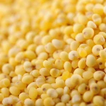 Best food _ chinese yellow millet