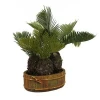 Best prices unique design artificial ornamental indoor cycas plants