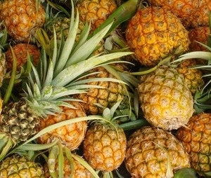 Best Quality Fresh Pineapples At Affordable