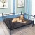Import Best Quality Iron Pet Bed for dog and cats from China
