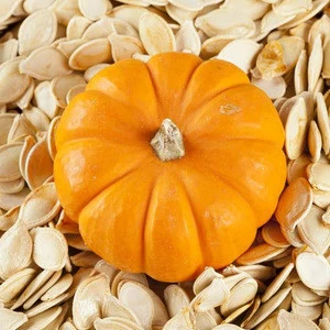Best Quality Pumpkin Kernel,shine skin pumpkin seeds kernels Type and Raw Processing Type pumpkin seeds