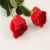 Import Best-selling Red Rose Flowers Fresh Cut Flowers Processing Type from China