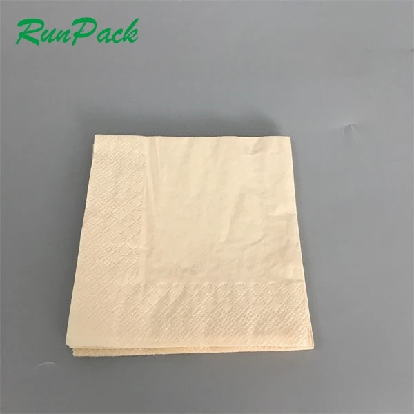 Biodegradable 2 Ply White Paper Napkins Recycled Tissue Paper Napkins