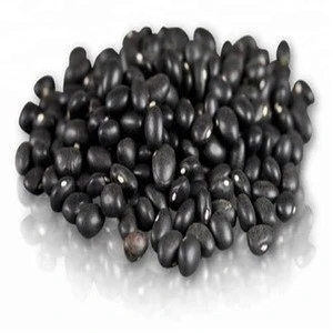 Black Kidney Beans for Sale