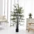 Import Bonsai bamboo artificial bamboo tree plastic/artificial plant in pot bonsai tree artificial bamboo outdoor for sale from China