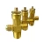 Import Brass cylinder valve   Oxygen control cylinder valve from China