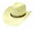 Import BSCI AUDIT fashion hat men straw cowboy hat from China