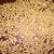 Import Bulk Organic Wheat from India
