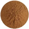 Burdock Root Extract Powder / Arctium lappa / herb plant high quality fresh goods large stock factory supply