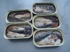 Canned Sardines in Vegetable Oil 125g Canned Sardines Canned Fish