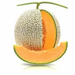 Cantaloupe Wholesale VietGap