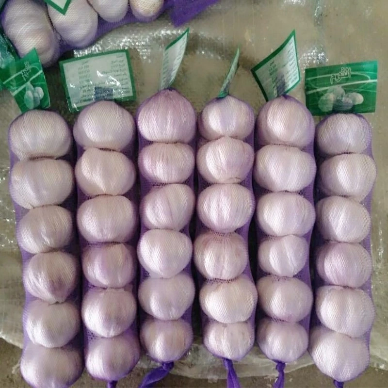 cartons packing fresh white Chinese garlic