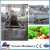 Import ce approve bubble vegetable washer/bubble cleaning machine/chilli cleaning machine from China