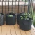 Import Cheap price 3 5 7 10 gal fabric felt garden plant grow bag for flower tomato potato from China