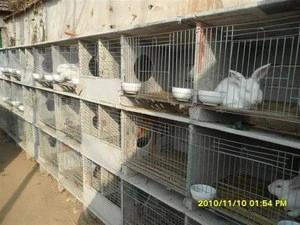 cheap rabbit farming cage,industrial cage for rabbit,commercial rabbit cage in Kenya farm