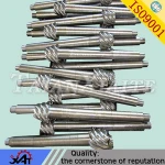 China Professional steel forged heat treatment worm shaft steel shaft for construction machinery CNC machining OEM service
