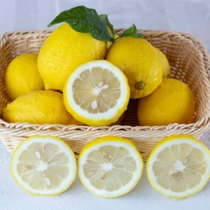 Chinese Fresh Eureka lemon for export