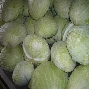 Chinese fresh flat cabbage