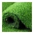 Import Chinese Sports Flooring Home Garden Carpet Soft Artificial Grass Turf from China