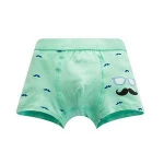 Classic stylish boy cute cool boxer underwear