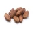 Import Cocoa Beans Cacao Beans sell for best price from Philippines