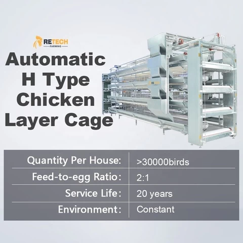 Commercial Egg Chicken Poultry Farming House Design Automatic Layer Battery Cage