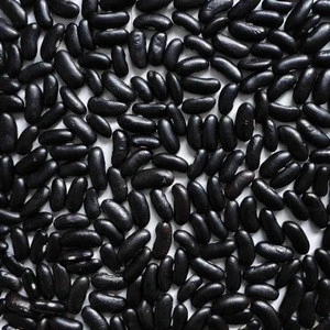 Common Cultivation Black Kidney Bean 2018 Crop Dried Black Kidney Bean/black kidney bean/High quality Light Specked Kidney beans