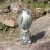Import Competitively priced Garden decoration of eagle decoy for  scare birds from China