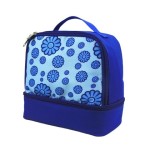Custom Hot selling prints insulated lunch cooler bag double-deck picnic lunch cooler bag with handle