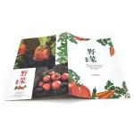 Custom Wholesale Full Color Glossy Paper Design Printing Service, Flyer , Booklet, Brochure, Catalogue Printing