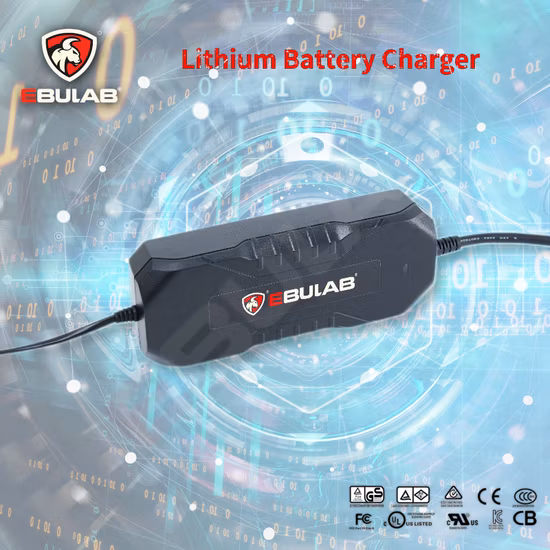 Customizable 54.6V 4A High Efficiency Electric Motorcycle Bicycle 48V Lithium Battery Charger