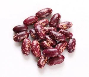 Dark Red Light Speckled Kidney Beans for sale