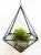 Import decorative air succulant planter geometric terrarium glass craft from China