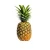 Import Delicious and Fresh Pineapple from a Premium Exporter from Vietnam