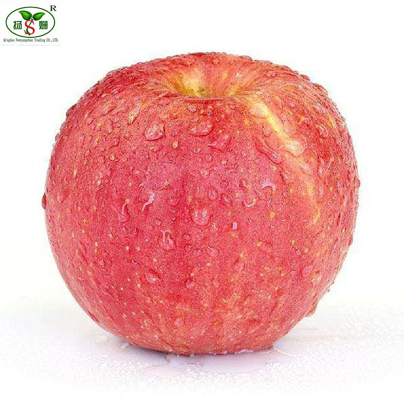 Delicious and sweet fresh red Fuji apple with competitive price,16 kg carton packaging fresh apple exporter