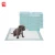Import dog training pads Daily Cleaning Pet Agility Training Products from China