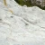 Import Dolomite stone and powder from Sri Lanka