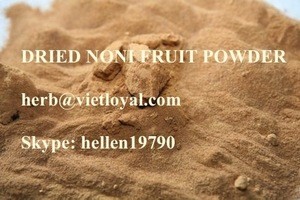 DRIED NONI FRUIT Crinum latifolium Herb Big Saler