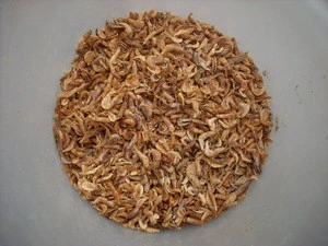 Dried Shrimp Dry Cat Food