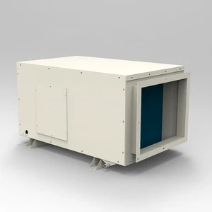 Duct Dehumidifier for Hotel Ceiling Installation