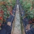Import Durable Garden Commercial Weeding Weed Barrier Weed Mat Landscape Fabric Non Woven Cloth from China