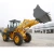 Import Engineering & Construction Machinery/Earth-moving Machinery Wheel loader JGM738K from China
