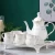 Import European Ceramic Teacup Set Bone China Tea Coffee Set 1 Teapot 6 Cups and 1Tray from China